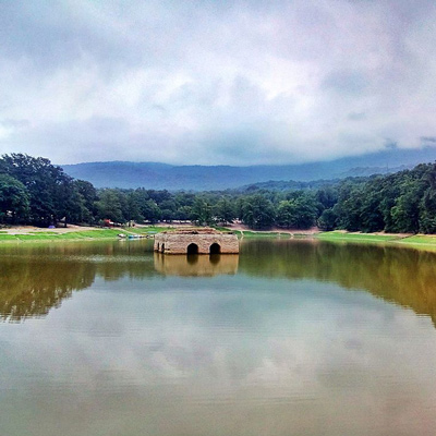  BAGH E IRANI in rainy and vegetated environment 