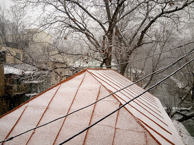 &copy; Hamid Yaghoobi