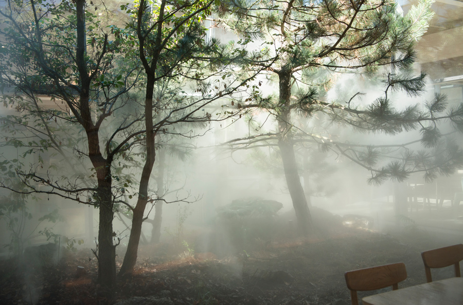 Gruene Erde Breathing Headquarters 