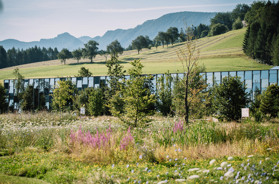 Gruene Erde Breathing Headquarters 