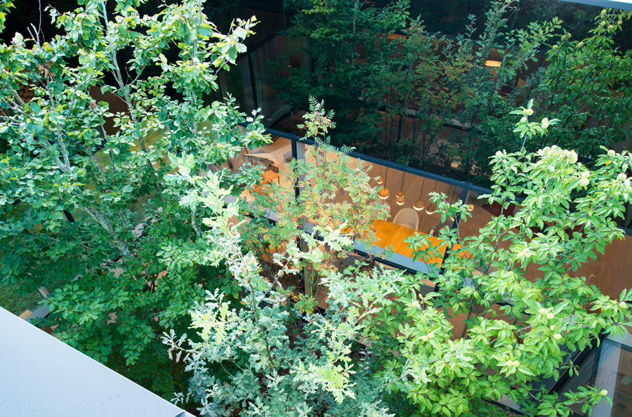 Gruene Erde Breathing Headquarters 