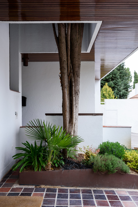 Single Detached Dwelling