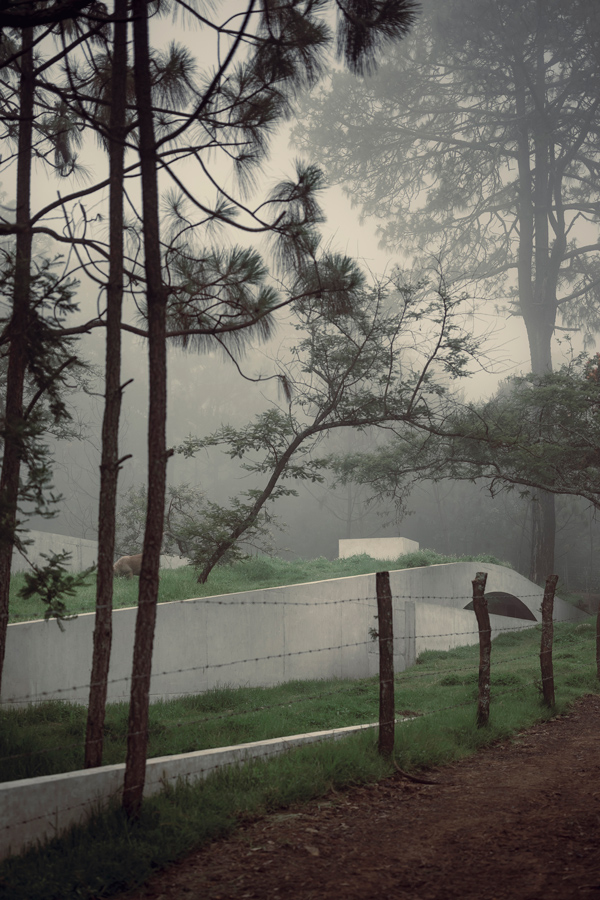 The Hill in front of the Glen