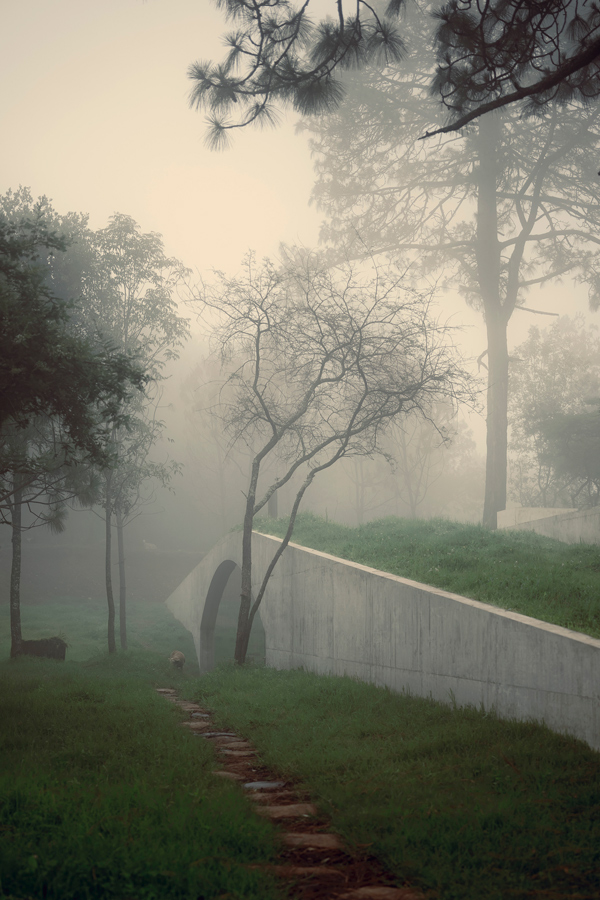 The Hill in front of the Glen