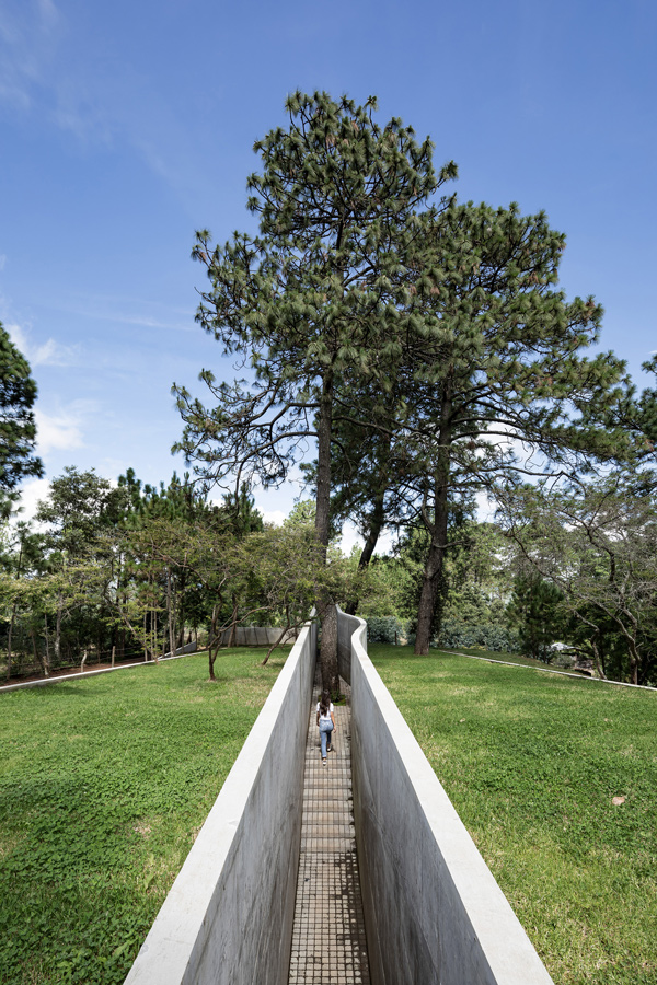 The Hill in front of the Glen