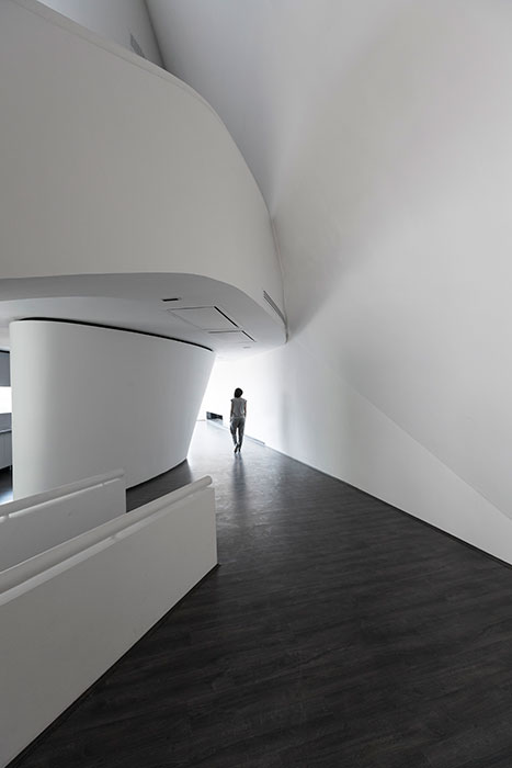 Villa for Younger Brother