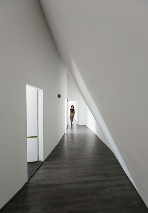 Villa for Younger Brother