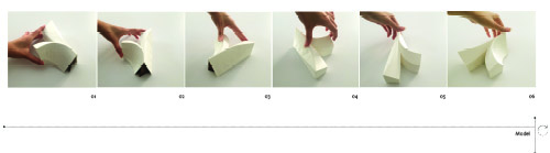 Villa for Younger Brother