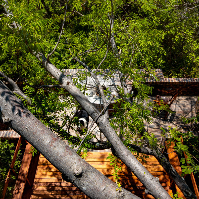 Villa of the Big Arch  