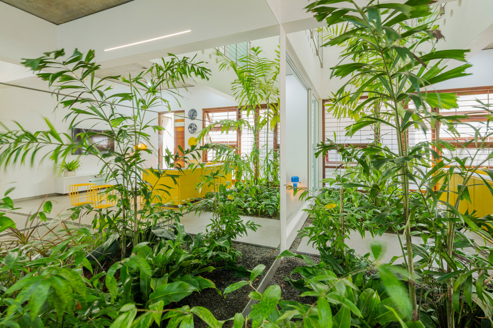 Villa That Rains Light