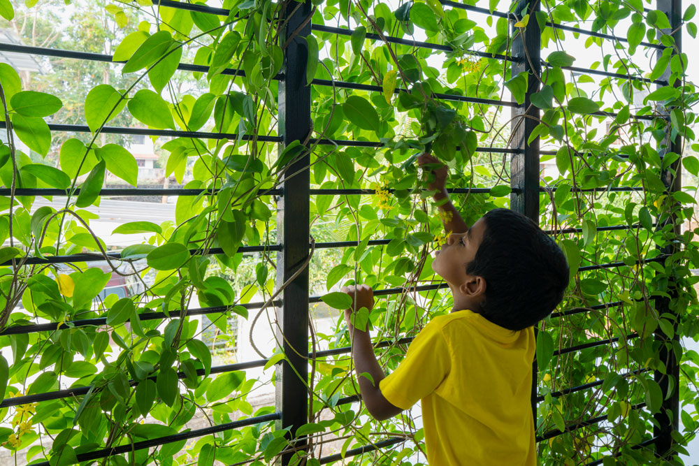 Villa That Rains Light