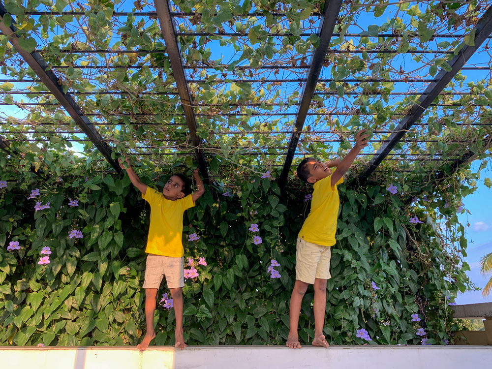 Villa That Rains Light