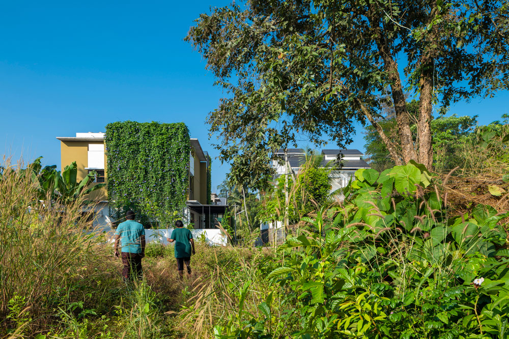 Villa That Rains Light