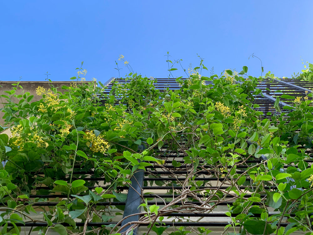 Villa That Rains Light